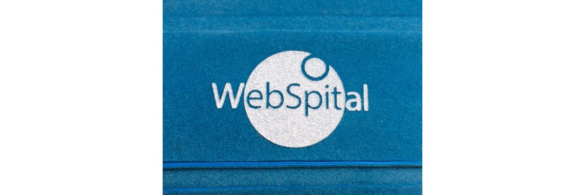 Logo "WebSpital"