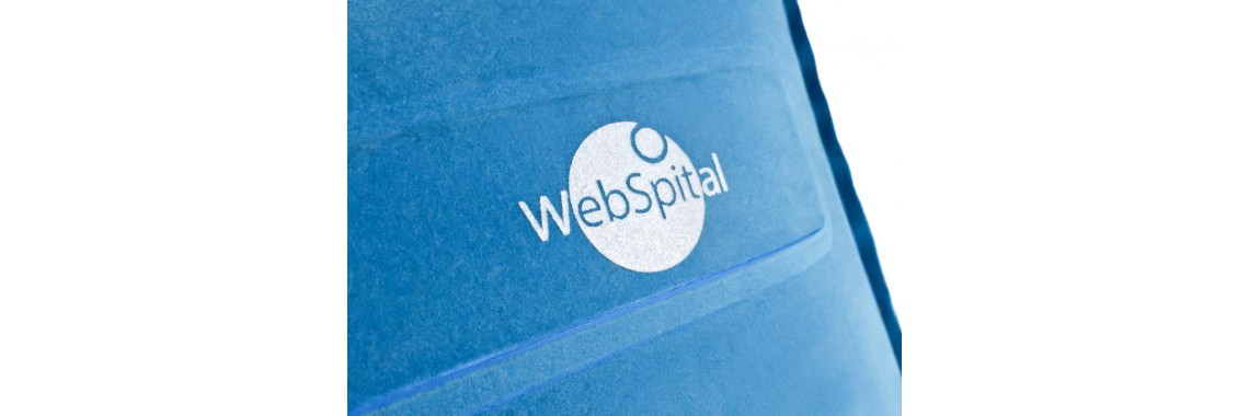 Logo "Webspital" seitlich